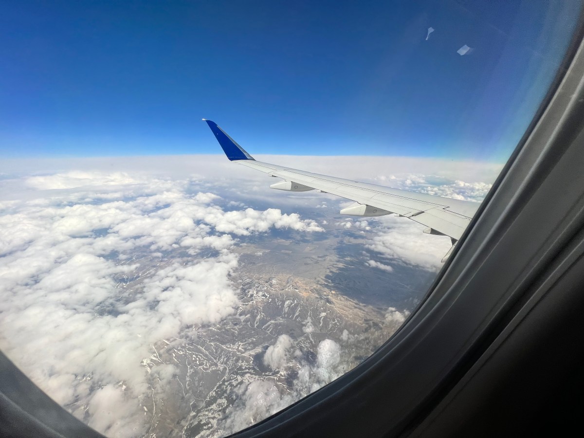 Whew, what a journey. Introducing&nbsp;Lexi!